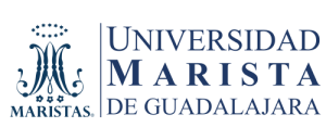 POSGRADOS 2025-II